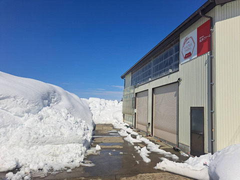 きらめく大粒！【令和7年産】松井ファームの南魚沼産新之助5kg(精米)