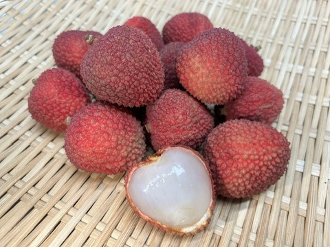 南国鹿児島産【生ライチ】最高峰品種玉荷包【国産】（約500g）【夏ギフト】