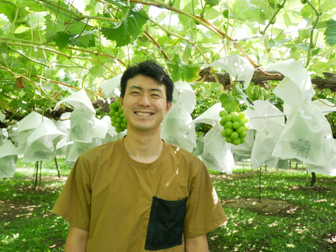 今が旬！スッキリ甘い　長野県産 「シャインマスカット」1kg