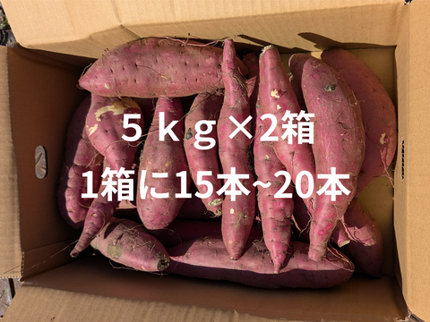 ネットリ甘ーい紅はるかを愛情価格でお届け！(10kg）