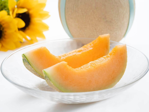 【金賞受賞】シルキーメロン『ロピア』1.6kg×２玉