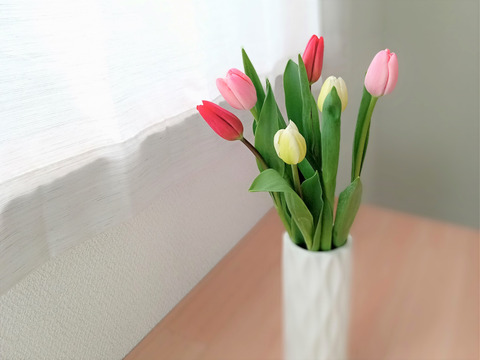 【今シーズン初🌷30件限定】★新商品★フラワーファームしろねのチューリップ 　6本ミックス　コンパクト便でお手頃価格でお届けします(^^♪　※北海道・沖縄県配送不可※