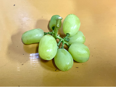 シャインとクイーンニーナの切り落とし