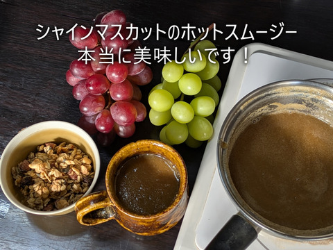 【特別栽培相当長野県認証】訳あり完熟シャインマスカット2.5kg規格外※長野県認証/特別栽培同基準（信州の環境にやさしい農産物認証50）