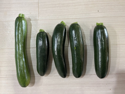 【千葉県産】有機ズッキーニ食べ比べセット１.5㎏～2kg入り