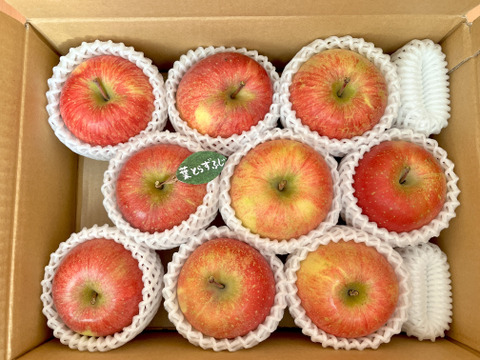 ★★新春セール★★【冬ギフト】 🍎レビュー数1800件突破！！《家庭用》青森完熟葉とらずふじ８〜１２玉(約３kg)🍎ID119812