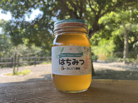 クリスマスツリー特価！ 添加物なし】天然はちみつ 600g 蜂蜜 ハチミツ セイヨウミツバチ 調味料・料理の素・油