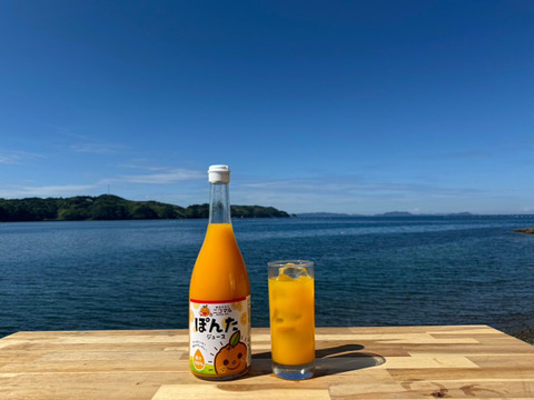 🍊選べるギフトセット🍊【ギフト用1本】 ぽんかんジュース：愛媛県産