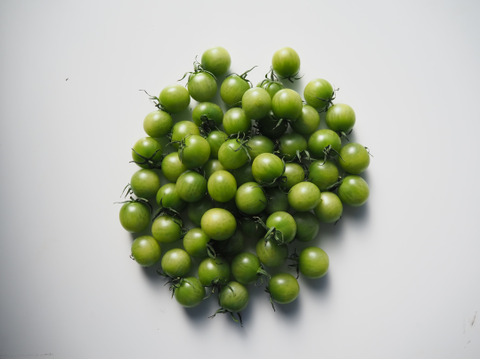 緑色ミニトマト 1kg【緑色で完熟】熊本県産：ギフトメッセージ対応