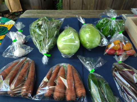 とりたて旬野菜７種類前後 【農薬・化学肥料不使用】