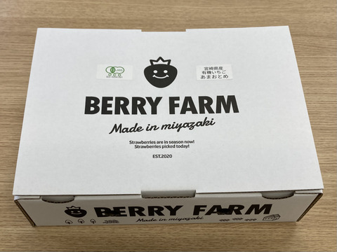 香り豊か！有機いちご「あまおとめ」500g