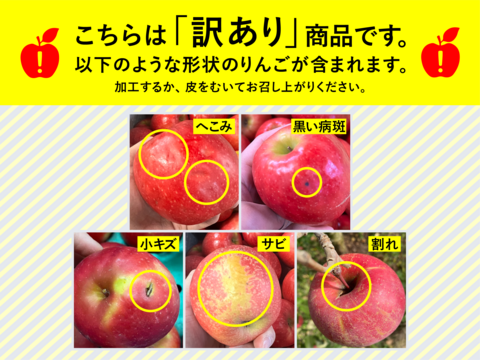 🍎りんごグランプリ2025最高金賞1位🎊 サンふじ 10キロ箱 家庭用&訳あり品 ID00624 安曇野 リンゴ 幻 幻のリンゴ 予約 希少 旬 甘い 10キロ箱