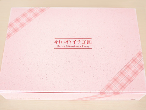 🌟赤城の恵ブランド🌟　厳選　やよいひめ　800グラム　9粒〜18粒　贅沢にガブっと　至福なひと時に🌟