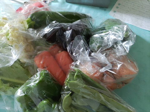 『子育て農家の野菜セット』　Mサイズ　10～11品目