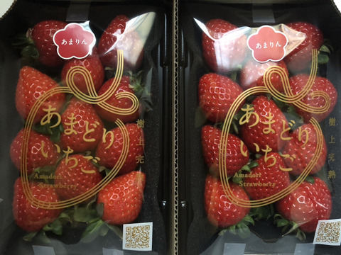 【ご自宅用】完熟収穫のあまりん 230g x 2p