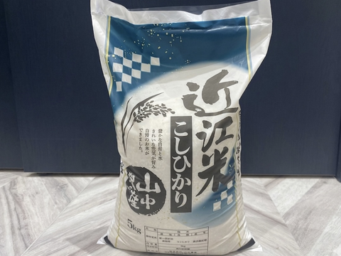 コシヒカリ　食べ比べ米付き！　【令和7年度産】滋賀県産コシヒカリ　白米10kg（5kg×2袋）
