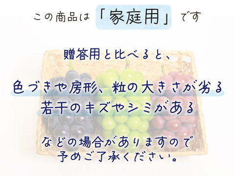 花笑み農園　岡山の10月おすすめブドウ3種食べ比べ　1.8kg 家庭用【10/1～順次発送】3M-2L家