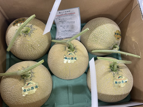 たっぷり8kg！北海道夕張郡産キングメロン：北海道産のその他