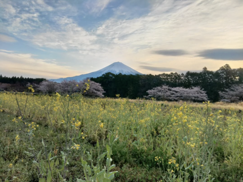 3kg🥕元気な彩り！食卓が盛り上がる！カラフルにんじん《農薬・化学肥料不使用》