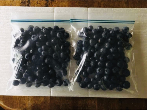 大粒サイズもごろごろ！ハイブッシュ系ブルーベリー冷凍（300g×2 パック）【栽培期間中農薬不使用】