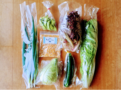 【父の日ギフト】まあるくはじけるポップコーン付き☆信州四賀より里山の旬野菜セット【mini　6品目】