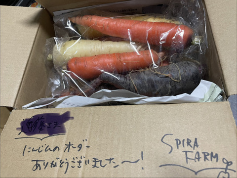 寒さであま〜くなったよ！見た目も楽しい♩カラフルにんじん（約1.8kg）