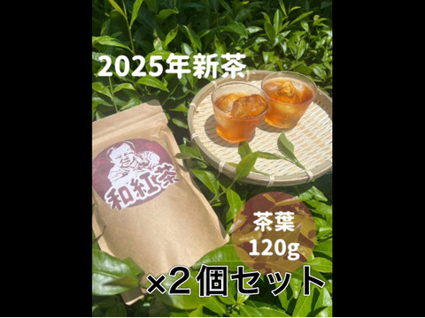 2025年新茶【苦くない日本の紅茶♪】紅茶が苦手な方でも大丈夫！渋味が少なく、柔らかい風味の紅茶♪ 和紅茶　茶葉　120g ×2個セット　農薬・化学肥料・除草剤・畜産堆肥不使用　宇治茶100%