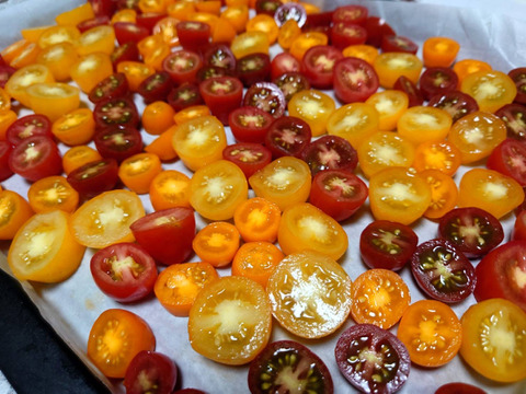 見た目も鮮やか！！甘いカラフルミニトマト4色セット2㎏