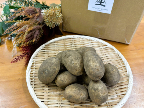 【北軽井沢産】栽培期間化学肥料・農薬不使用！しっとりほっくり！十勝こがね5kg