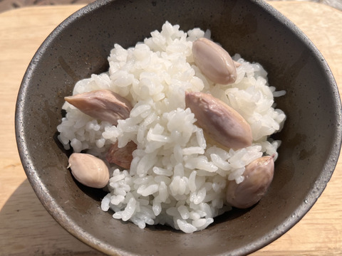 旬の味覚！遠州砂地育ちジャンボ生落花生『おおまさり』1㎏