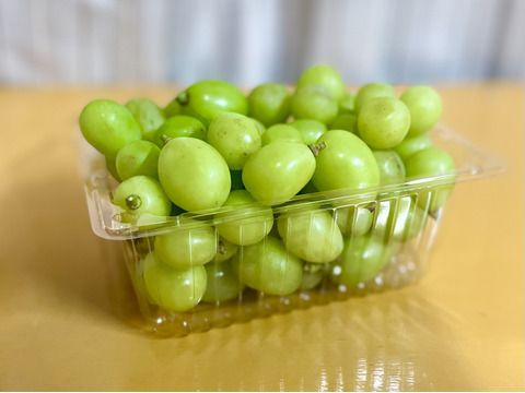 シャインとクイーンニーナの切り落とし