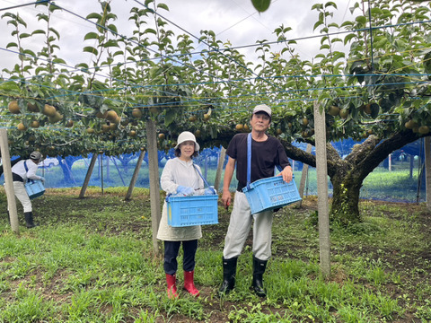 今が旬！驚きの甘さ】富山県呉羽梨-幸水-5kg 8〜12玉【訳あり！大特価