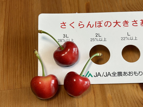 【クール便】★まいハート★青森が贈る宝物『ジュノハート』訳あり品２Ｌ以上２５０ｇ