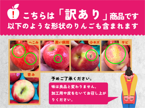 🎊発送中🎊【ヒルナンデスでました！】ピンクレディー®︎ 10キロ訳あり品 加工用にご利用ください！長野県 信州 安曇野 リンゴ 幻 幻のリンゴ 予約 希少 旬 ID62476
