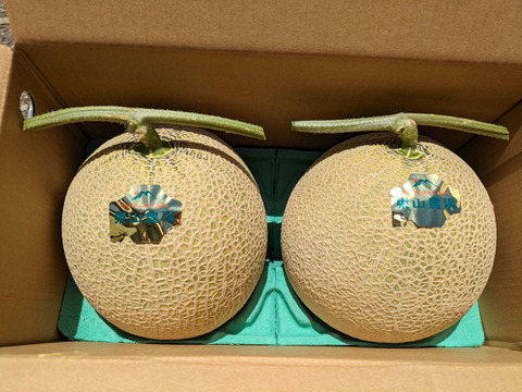 【冷蔵便】【1.6kg・2玉入】北海道夕張郡産キングメロン