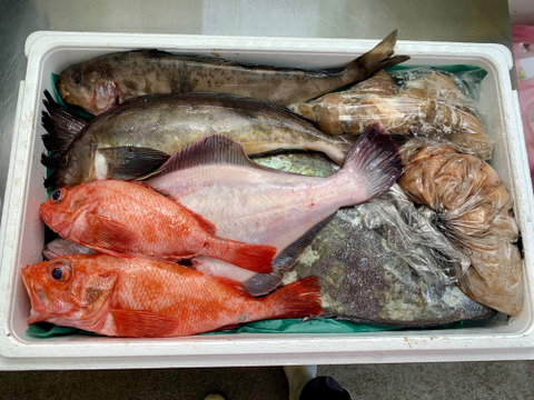 松コース 【年明け発送】船頭にお任せ！鮮魚ボックス（詰め合わせ）海鮮セット