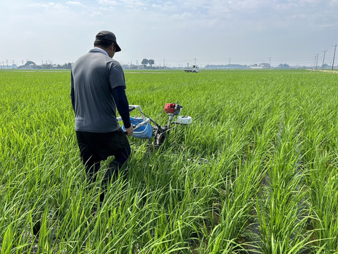 令和5年収穫　群馬県産　【にじのきらめき】　精米済み25kg