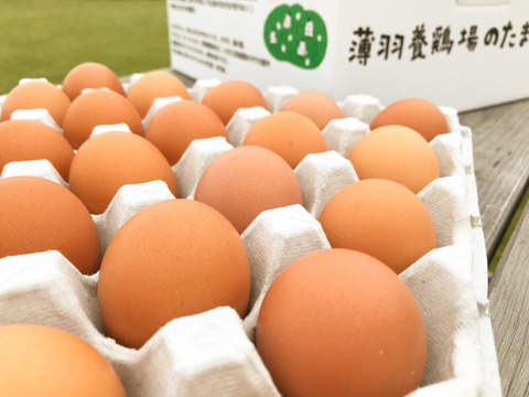 ★受取日指定可★【ちょっと小さめ赤たまご50個】『黒麹』育ちの鶏の赤たまご50個