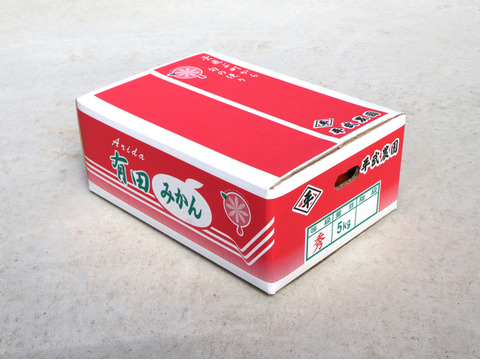 【冬ギフト】農家直送！有田みかん5kg≪2Lサイズ（大玉） 秀品≫【平武農園】～蛍飛ぶ町から旬の便り～　和歌山｜有田｜田口｜ギフト｜こだわり　産地直送　お取り寄せ