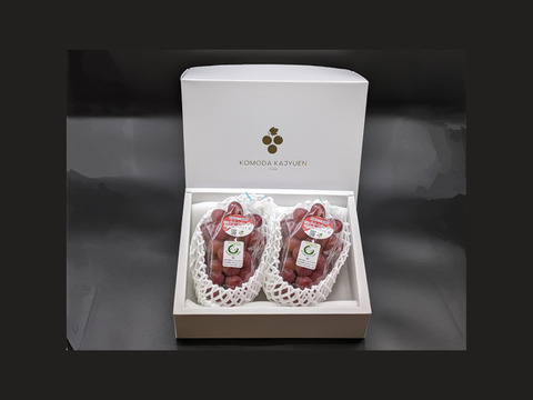 果実の女王、ルビーの輝き【プレミアムギフト】クイーンルージュ®約500g×2房　合計約1kg　※長野県認証/農薬節減栽培（信州の環境にやさしい農産物認証）【冬ギフト】