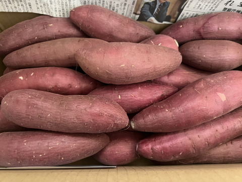 ねっとり極甘さつまいも！熟成紅はるか約5kg（S~2Lサイズ不揃い詰め合わせ）