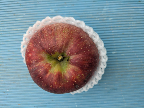 信州　小布施　「秋映」りんご　3キロ　贈答用