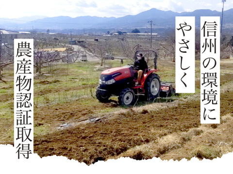 【2026年予約】『秋映』家庭用✨シャキッと食感！味も色も濃い秋のりんご！3kg