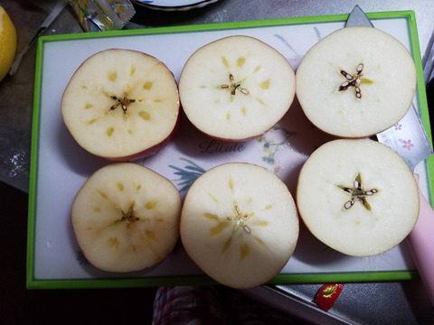 【高野様専用】本格収穫開始です。「安曇野産サンふじ」約10kg入り　3拍子、4拍子揃ったりんごの王様です。美味しいですよ。（写真11/10現在）