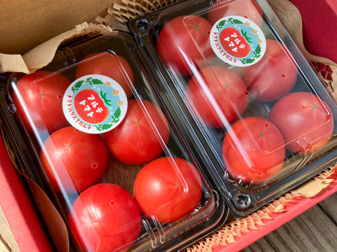 【旬終盤】アルテトマト2P☆深い旨味の高糖度トマト【少量お試し】