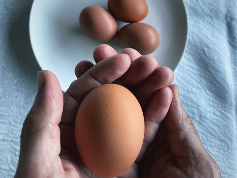 空と大地に見守られて、産まれる卵。-itadaki-甘くてコク深い、放牧鶏「暖鷄」の卵です。放牧卵itadaki/自然放牧【限定枠定期便】24個入