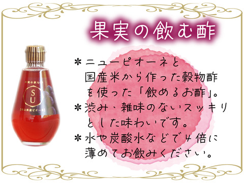 花笑み農園　シャインマスカットと加工品セット（ピオーネジャム＆飲む酢）【9/23～順次発送】S-JN