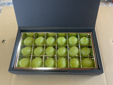 氷温ぶどうの宝石箱シャインマスカット（一粒14g以上　18粒)