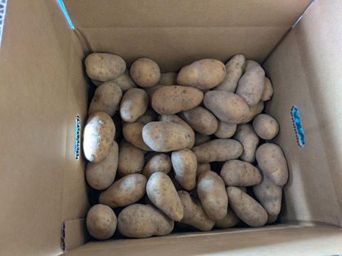 北海道産新じゃが　メークインSサイズ　４．５ｋｇ