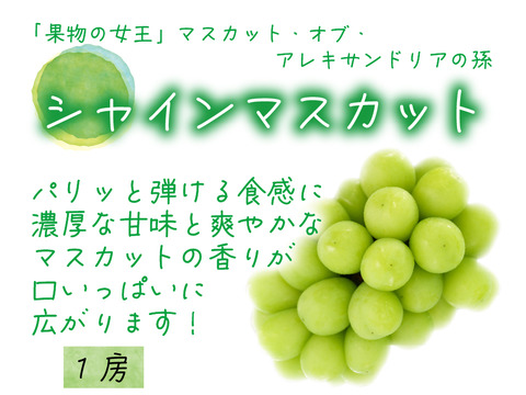 花笑み農園　岡山のピオーネ＆シャインマスカット1kg【9/18～順次発送】PS-1
